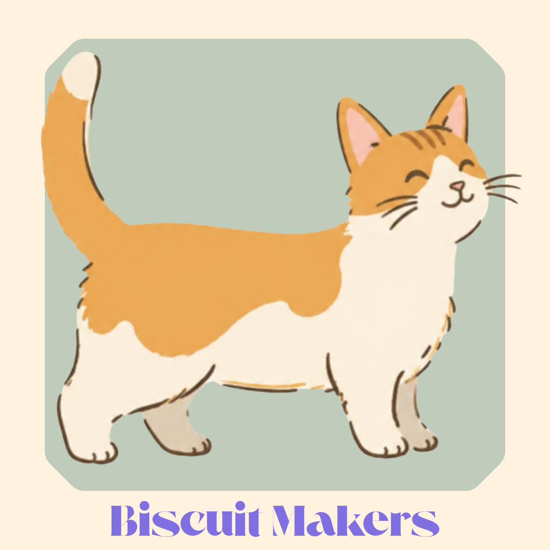 My Corgi Living Cats collection - Purrfect Accessories