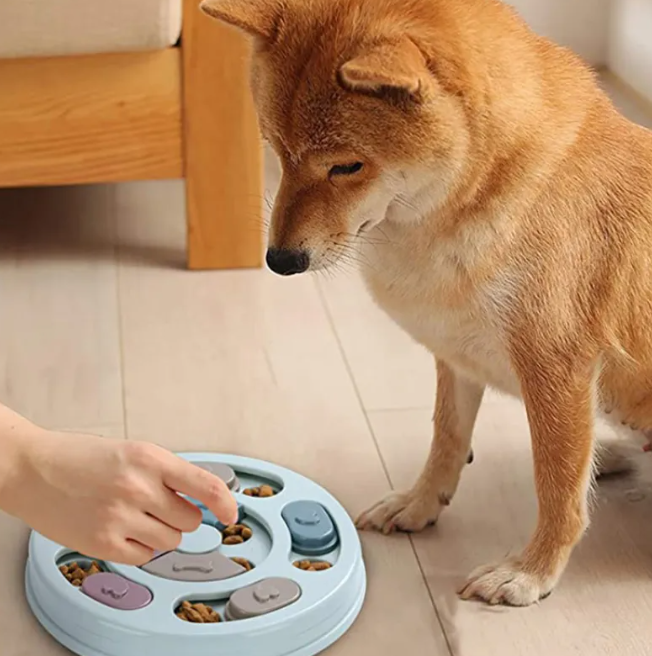 Level 1 Smart Puzzle Dog Feeders