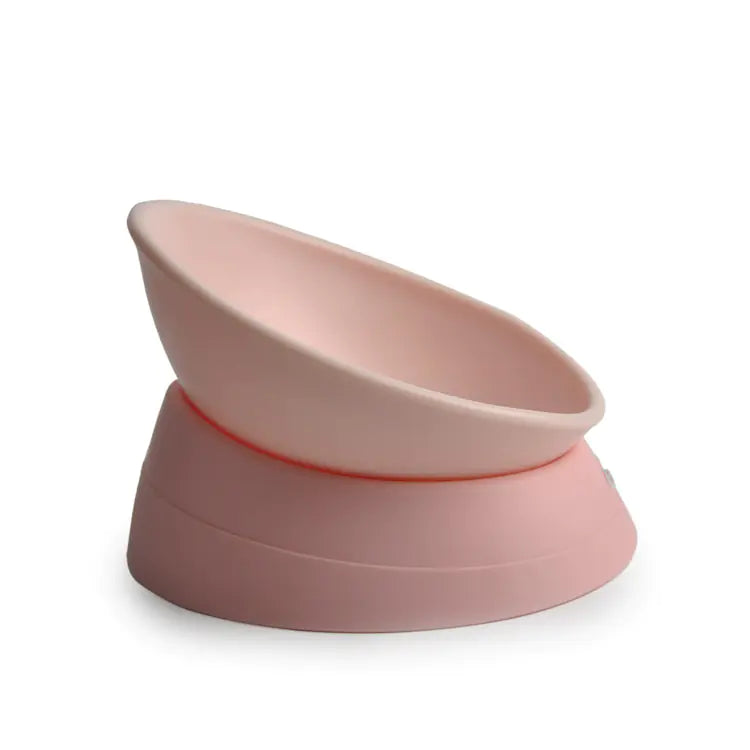 Non-Slip Cat Bowl with Adjustable Angle