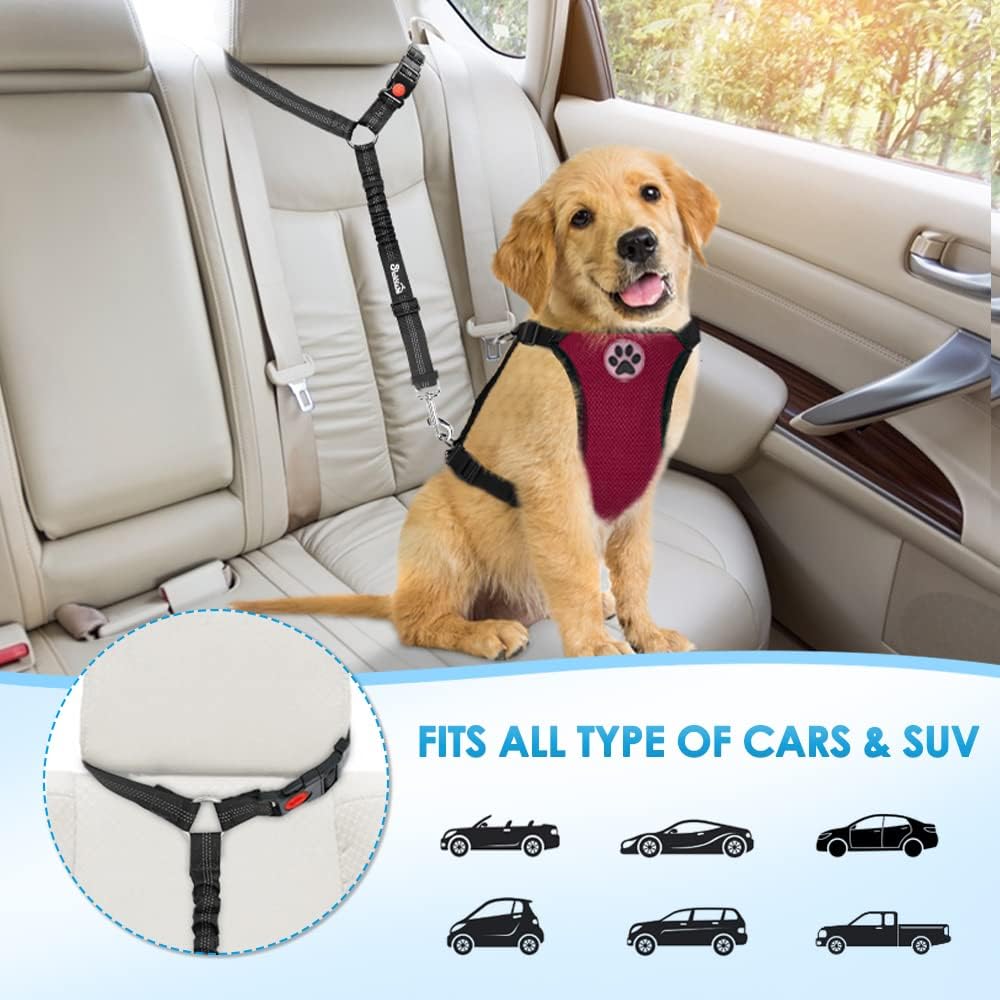 2 in 1 Dog Car Seatbelts with Anti-Shock Elastic Bungee Buffer