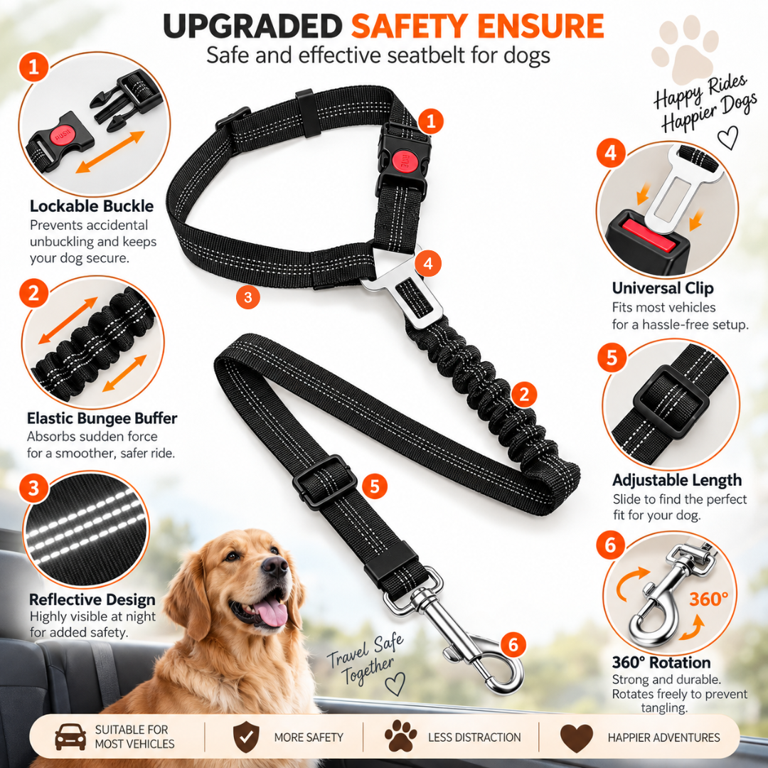 2-in-1 Adjustable Dog Car Seat Belt with Anti-Shock Bungee