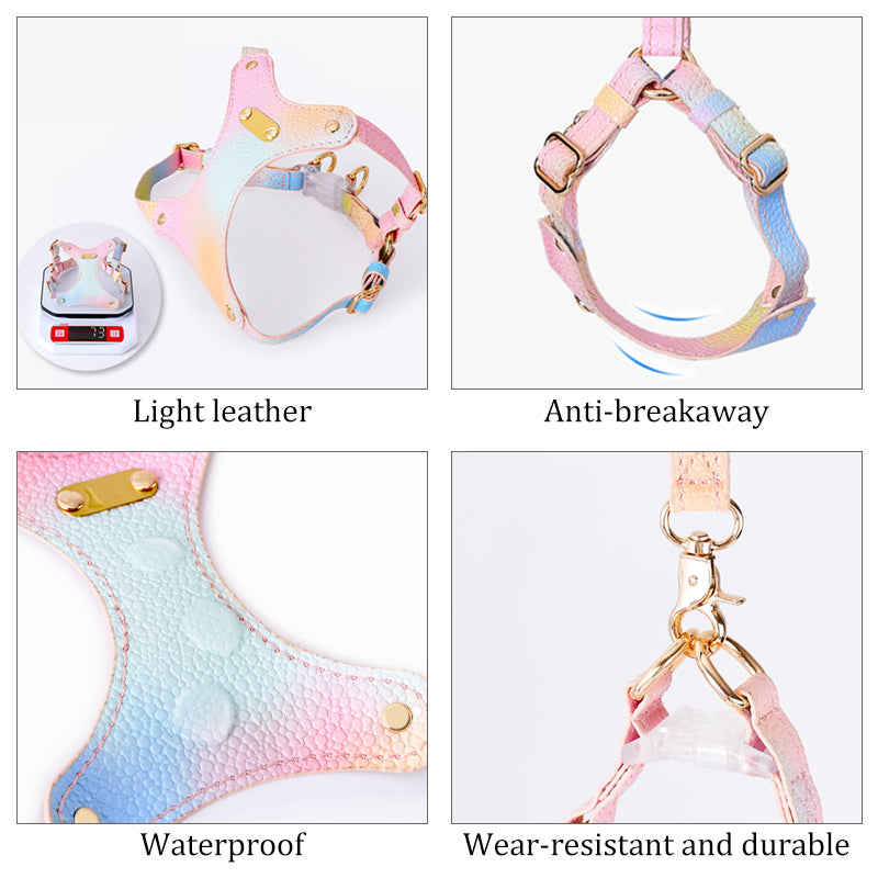 Adjustable Waterproof Leather Pet Harness for Small Dogs
